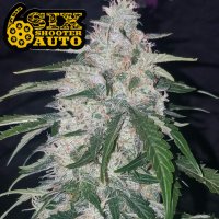 Six Shooter Auto