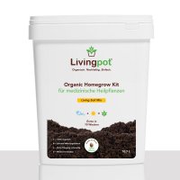 Livingpot inkl. FAST BUDS Samen